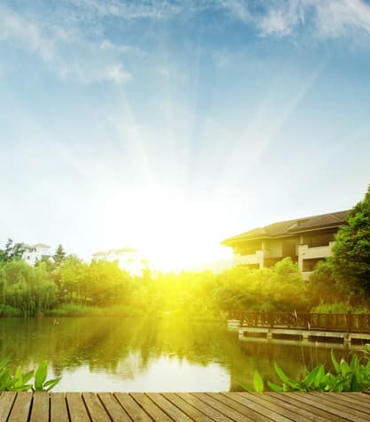 Seasonal Pond Care: Tips to Keep Your Pond Thriving All Year Round