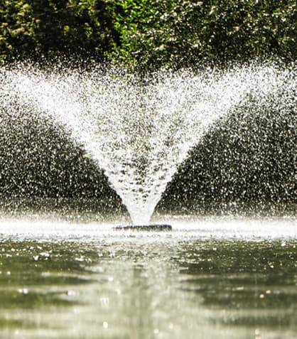 DIY Water Features: Elevating Your Pond Game