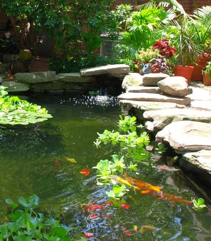 Night time Landscaping: Setting the Evening Mood