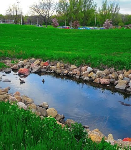 DIY Water Features: Elevating Your Pond Game