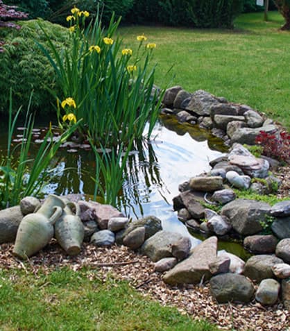 Winter Wonder Pond: Keeping the Magic Alive in the Cold