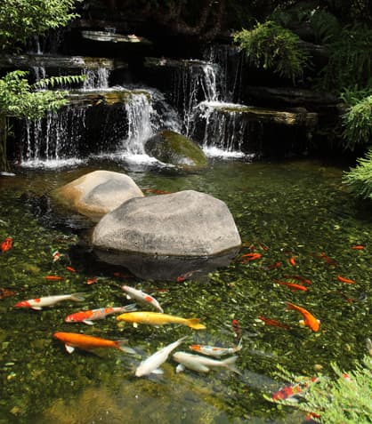 Simple Yet Eco Friendly Pond Tech: Green Gadgets That Make a Difference In Your Pond