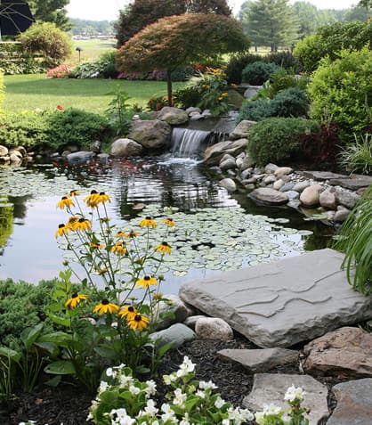 Pond DIYs: Fun Weekend Projects for Your Water Wonderland