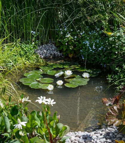DIY Pond Filtration: Hacks to Keep Your Water Crystal Clear on a Budget
